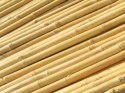 Tyczki bambusowe 90 cm (10/12 mm) -100 szt.