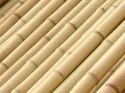 Tyczki bambusowe 90 cm (10/12 mm) -100 szt.